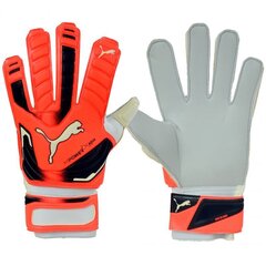 Maalivahdin käsineet Puma Evo Power Grip 2 Aqua 41145 30, oranssi hinta ja tiedot | Maalivahdin hanskat | hobbyhall.fi