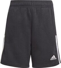 Adidas shortsit, mustat hinta ja tiedot | Jalkapallovaatteet ja -varusteet | hobbyhall.fi