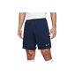 Nike miesten shortsit Dri-Fit Academy Shorts M CW6107-452, sininen hinta ja tiedot | Miesten shortsit | hobbyhall.fi