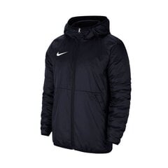 Miesten takki Nike Team Park 20 Fall CW6157-451 hinta ja tiedot | Miesten ulkoilutakit | hobbyhall.fi