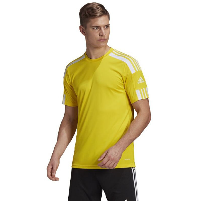 Miesten jalkapallopaita Adidas Squadra 21 GN5728, keltainen hinta ja tiedot | Jalkapallovaatteet ja -varusteet | hobbyhall.fi