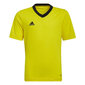 Lasten paita Adidas Entrada 22 Jersey HI2127, keltainen hinta ja tiedot | Jalkapallovaatteet ja -varusteet | hobbyhall.fi