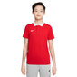 Lasten Nike DF Park 20 Polo SS Red CW6935 657 hinta ja tiedot | Jalkapallovaatteet ja -varusteet | hobbyhall.fi