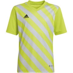 Lasten paita Adidas Entrada 22 Graphic Jersey HF0133, keltainen/harmaa hinta ja tiedot | adidas teamwear Urheilu ja vapaa-aika | hobbyhall.fi