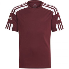 Adidas Squadra 21 Jersey nuorten paita GN8090 hinta ja tiedot | adidas teamwear Urheilu ja vapaa-aika | hobbyhall.fi