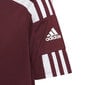 Adidas Squadra 21 Jersey nuorten paita GN8090 hinta ja tiedot | Jalkapallovaatteet ja -varusteet | hobbyhall.fi