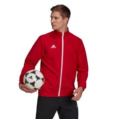 Miesten villapaita Adidas Entrada 22 H57536, punainen hinta ja tiedot | adidas teamwear Urheilu ja vapaa-aika | hobbyhall.fi