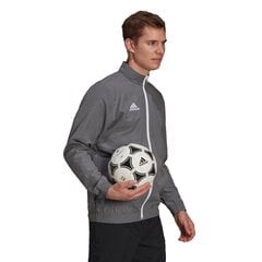 Miesten villapaita Adidas Entrada 22 H57535, harmaa hinta ja tiedot | adidas teamwear Urheilu ja vapaa-aika | hobbyhall.fi