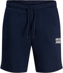 Miesten shortsit Jack&Jones, sininen hinta ja tiedot | Miesten shortsit | hobbyhall.fi