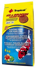 Ravintoa lampikaloille Tropical Koi & Goldfish Color Sticks, 4 kg hinta ja tiedot | Kalanruoka | hobbyhall.fi