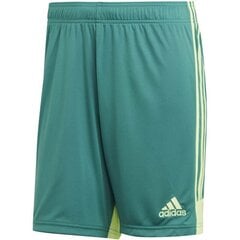 Miesten urheilushortsit Adidas M Tastigo 19, vihreä hinta ja tiedot | Miesten urheiluvaatteet | hobbyhall.fi