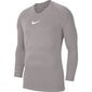 Miesten urheilupaita, Nike Dry Park First Layer JSY LS M AV2609 057, harmaa hinta ja tiedot | Miesten urheiluvaatteet | hobbyhall.fi