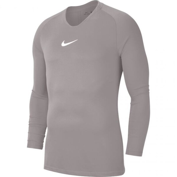 Miesten urheilupaita, Nike Dry Park First Layer JSY LS M AV2609 057, harmaa