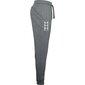 Miesten urheiluhousut Under Armour Rival Fleece 3Logo Jogger Pants M 1357 131 012, harmaa hinta ja tiedot | Miesten urheiluvaatteet | hobbyhall.fi