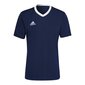 Miesten urheilupaita Adidas Entrada 22 M HE1575, sininen hinta ja tiedot | Miesten urheiluvaatteet | hobbyhall.fi