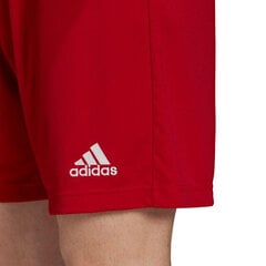 Miesten shortsit Adidas, punainen hinta ja tiedot | Miesten urheiluvaatteet | hobbyhall.fi