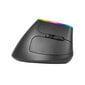 Langaton hiiri Delux M618C 2.4G 1600DPI RGB ABS hinta ja tiedot | Hiiret | hobbyhall.fi