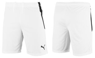 Miesten shortsit PUMA teamLIGA 704924 04 hinta ja tiedot | Miesten urheiluvaatteet | hobbyhall.fi