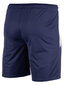 Miesten shortsit PUMA teamLIGA 704924 06 hinta ja tiedot | Miesten urheiluvaatteet | hobbyhall.fi