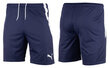 Miesten shortsit PUMA teamLIGA 704924 06 hinta ja tiedot | Miesten urheiluvaatteet | hobbyhall.fi