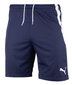 Miesten shortsit PUMA teamLIGA 704924 06 hinta ja tiedot | Miesten urheiluvaatteet | hobbyhall.fi