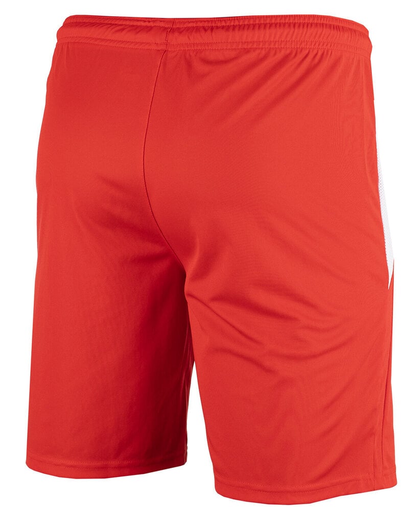 Miesten shortsit Puma teamLiga 704924 01, punainen hinta ja tiedot | Miesten urheiluvaatteet | hobbyhall.fi