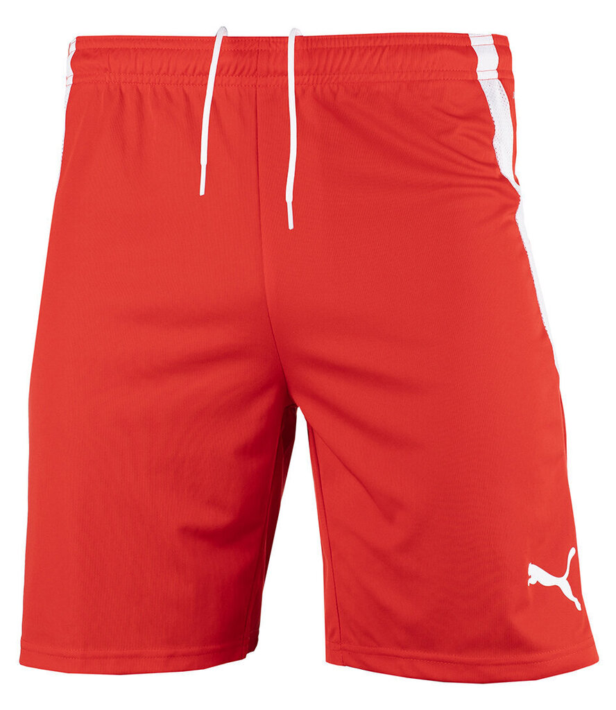 Miesten shortsit Puma teamLiga 704924 01, punainen hinta ja tiedot | Miesten urheiluvaatteet | hobbyhall.fi