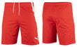 Miesten shortsit Puma teamLiga 704924 01, punainen hinta ja tiedot | Miesten urheiluvaatteet | hobbyhall.fi