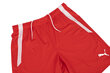 Miesten shortsit Puma teamLiga 704924 01, punainen hinta ja tiedot | Miesten urheiluvaatteet | hobbyhall.fi