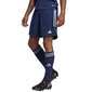 Miesten urheilushortsit Adidas IB8081 59072-283, sininen hinta ja tiedot | Miesten urheiluvaatteet | hobbyhall.fi