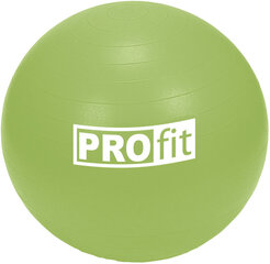 Voimistelupallo Profit, 55 cm hinta ja tiedot | Voimistelupallot | hobbyhall.fi