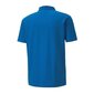 Miesten poolopaita Puma teamGoal 23 656579-02 hinta ja tiedot | Miesten T-paidat | hobbyhall.fi