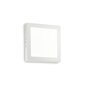 Ihanteellinen Lux-valaisin Universal D22 Square 138640 hinta ja tiedot | Kattovalaisimet | hobbyhall.fi