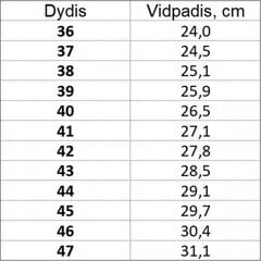 Naisten työkengät S1 hinta ja tiedot | Työkengät | hobbyhall.fi