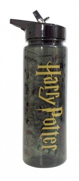 Juomapullo Harry Potter, 750 ml hinta ja tiedot | Juomapullot | hobbyhall.fi