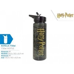 Juomapullo Harry Potter, 750 ml hinta ja tiedot | Harry Potter Tietokoneet ja pelaaminen | hobbyhall.fi