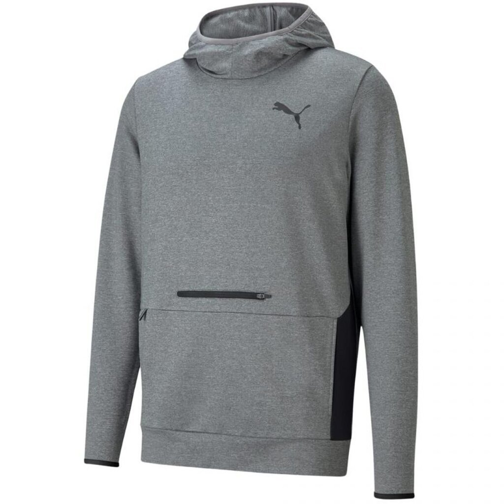 Miesten villapaita Puma RTG Hoodie M, harmaa hinta ja tiedot | Miesten puserot ja hupparit | hobbyhall.fi