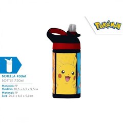 Juo Pokemon, 500 ml hinta ja tiedot | Juomapullot | hobbyhall.fi