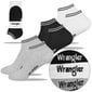 Miesten sukat Wrangler 25001, puuvilla, 3 paria hinta ja tiedot | Miesten sukat | hobbyhall.fi