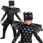 Karnevaaliasu Minecraft Halloween Ender, 4-6 vuotta hinta ja tiedot | Naamiaisasut | hobbyhall.fi