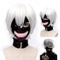 Peruukki Tokyo Ghoul Cosplay hinta ja tiedot | Naamiaisasut | hobbyhall.fi