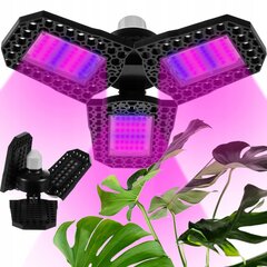 LED-lamppu kasvien kasvatukseen Grow Light hinta ja tiedot | Sisäpuutarhat ja kasvilamput | hobbyhall.fi