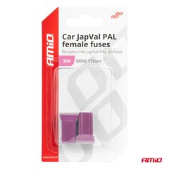 Suojaus JAPVAL PAL mini 2kpl naaras 17mm 30 hinta ja tiedot | Lisätarvikkeet autoiluun | hobbyhall.fi