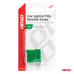 Suojaus JAPVAL PAL mini 2kpl naaras 17mm 40 hinta ja tiedot | Lisätarvikkeet autoiluun | hobbyhall.fi