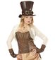 Steampunk silinteri + lasit hinta ja tiedot | Naamiaisasut | hobbyhall.fi