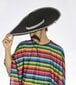 Sombrero musta Meksiko hinta ja tiedot | Naamiaisasut | hobbyhall.fi