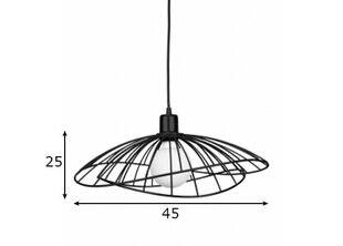 Globen Lighting riippuvalaisin Ray hinta ja tiedot | Riippuvalaisimet | hobbyhall.fi
