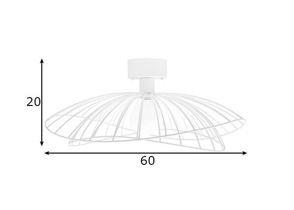 Katto- ja seinävalaisin Ray hinta ja tiedot | Kattovalaisimet | hobbyhall.fi