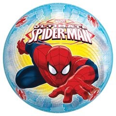 pallo john spider man, 230 mm, 54307sp hinta ja tiedot | Hiekkalelut ja rantalelut | hobbyhall.fi