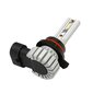 Halo Led HIR9012 15W PX22d 1 kpl hinta ja tiedot | Polttimot | hobbyhall.fi